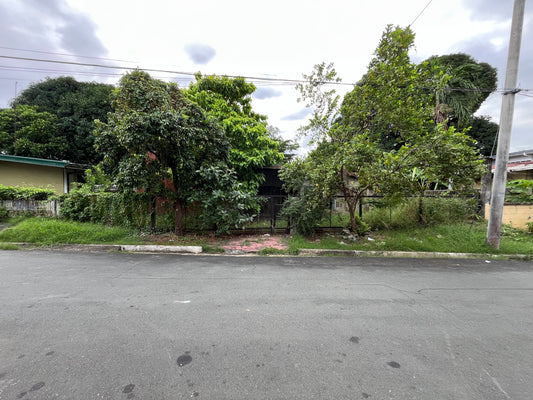 Old house in Merville Park, Parañaque